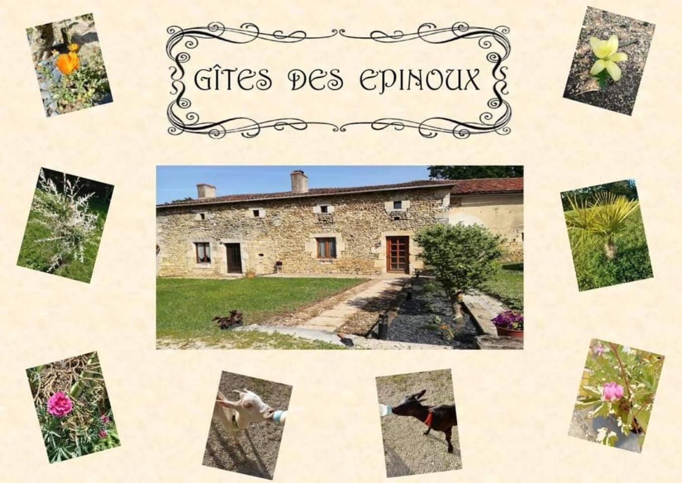 Villa Le Papillon Savigne Esterno foto